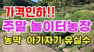 [매361] 주말놀이터농장 농막 아기자기 유실수 의성땅매매 의성부동산