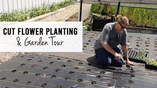 Cut Flower Planting and Garden Tour - Sunshine and Flora Urban Flower Farm