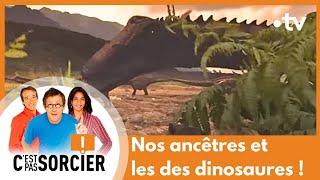 Nos ancêtres et les des dinosaures ! - C'est pas sorcier [Intégrale]