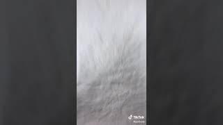 just a video for absolutely no reason