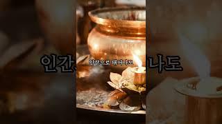 훔치지 않는다면 #부처님 #지혜 #진리