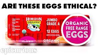 Which Eggs Should You Buy? | Fine Print | Epicurious