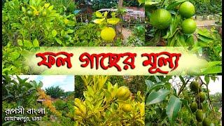 রূপসী বাংলা নার্সারিতে গাছের মূল্য | Fruit tree Price in Ruposhi Bangla Nursery | Kenakata Dot Com