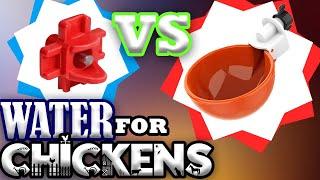 Best vs. Worst Chicken Waterers!  How to give them fresh/clean water