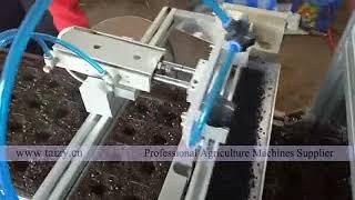 Amazing automatic nursery seed sowing machine / seeds sowing machine / nursery trays machine