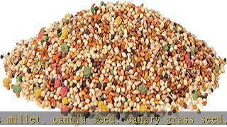 Wild Harvest Bird Seed Collection: Daily Blends and Advanced Nutrition for Parakeet, Canaries, Finc