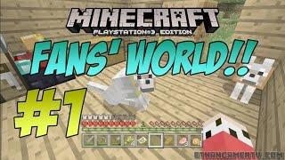 EthanGamerTV Fans' Minecraft World!! #1