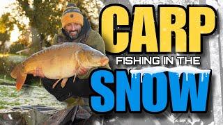 WINTER CARP FISHING TOP TIPS | ALI HAMIDI | ONE MORE CAST | CARP FISHING | UNDERWATER CARP