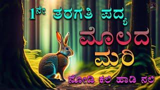 Molada Mari | 1st Standard Poem | Savi kannada Lessons | Nodi kali Hadi Nali | Kids Poem | ಮೊಲದ ಮರಿ