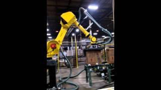 2 - Fully Integrated Case Handling, Robot Palletizing & In-Line Stretch Wrapping