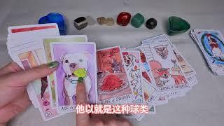 Dog Tarot狗狗塔罗牌开箱