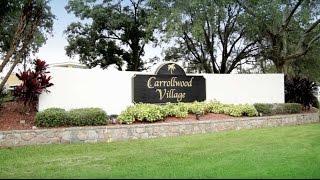 CARROLLWOOD VILLAGE | FEATURED NEIGHBORHOOD PROFILE