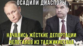 ️Началась Массовая депортация нелегалов? граждан Таджикистана не пускают в Россию