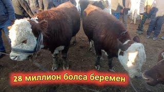 МАЛ БАЗАР 3-МАРТ 2021-ЖЫЛ/MAL BAZAR 3-MART QANLIKOL,ULKEN BUGALAR,BIGGEST BULLS,ENG SUB