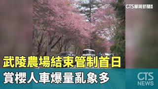 武陵農場結束管制首日　賞櫻人車爆量亂象多｜華視新聞 20250303@CtsTw