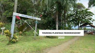 TOURING PLANTAGE FREDERIKSDORP  -  SURINAME 2022