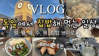 Eng)독일vlog | 독일에서 집밥 (제육볶음, 칠리 콘 카르네, 수제 찐만두, 순두부찌개와 떡갈비), 주방템 추천, WMF 프라이팬 추천, 독일주부 vlog, 뮌헨 음식점