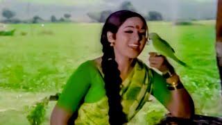 Ranganath, Vanisri Superhit Song - Ramachiluka Movie Songs | Telugu Movie Video Songs