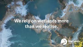 We need wetlands more than we realise