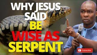 WHY JESUS SAID BE WISE AS SERPENTS | APOSTLE JOSHUA SELMAN