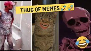 Thug of memes || funny videos 2022 #funnymemes