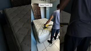 Best Sofa Covers For Pets Think Media - Satisfying ASMR Carpet Cleaning #shorts