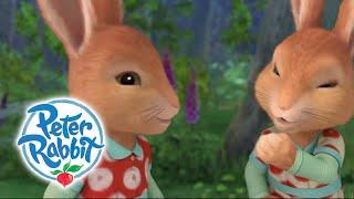 Peter Rabbit -  Tricking Mr. Tod | Cartoons for Kids