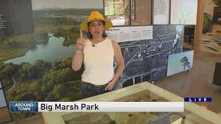 Around Town - Big Marsh Park