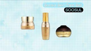 [한류타운 in 벨기에] WHAT'S in MY DAY [SOOSUL cosmetics / SOOSUL]