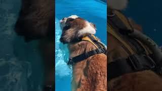 Last Swim of the Summer