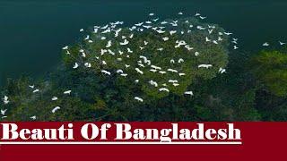 Beautiful Bangladesh । TR TV