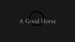 Proverb: A Good Horse Never Stumbles