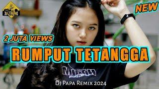 RUMPUT TETANGGA  LAGU PARTY POPULER  DJ PAPA REMIX