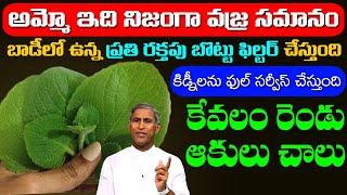 Blood Filter  బాడీ లో ఉన్న ప్రతి రక్తపు బొట్టును ఫిల్టర్ చేస్తుంది | Dr Manthena Satyanarayana Raju