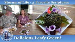 My New Favorite Leafy Greens | Storms of  Life 3 Helpful Scriptures