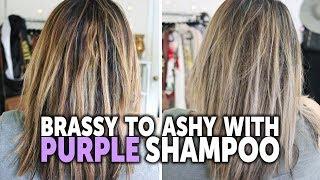 How to Tone Brassy Hair with Purple Shampoo - Drugstore Purple Shampoo Before and After