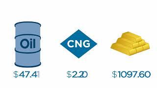 2  Understanding Consumer Price Index and Producer Price Index