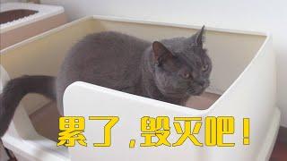 黑猪：今天也是想暗鲨主人的一天！