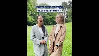 Der Studiengang: Duales Studium International Business mit Fokus auf Sustainable Business