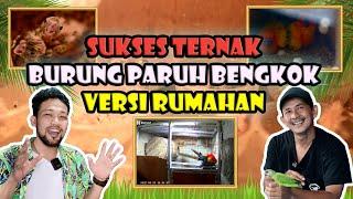 SUKSES TERNAK BURUNG  PARUH BENGKOK DI DALAM RUMAH ALA OM TRIYONO