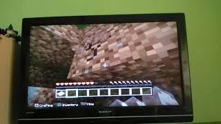 Top 5 jucatori de minecraft