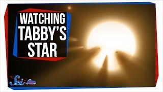 Why Everyone Was Watching Tabby's Star Last Weekend