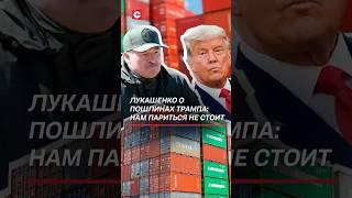 Лукашенко: мы с Россией такие пошлины переживаем! #лукашенко #пошлины #экономика #санкции #новости