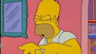 Homer chce lhát ale přitom řekne pravdu:)