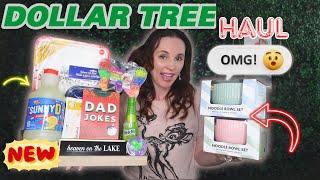 Exciting Dollar Tree Haul - New Discoveries