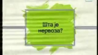 Kefalica - Šta je nervoza ?