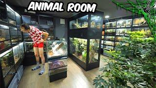 A Man Lives With 150+ SPIDERS IN HIS BASEMENT - Animal Room Tour / Full Collection Tour