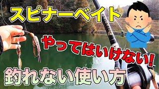 【バス釣り】スピナーベイトの釣れない使い方や動かし方!!悪いアクションの理由を知って使いこなそう!!【ドーン】【秦拓馬】