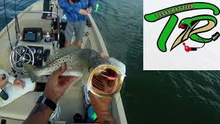 SIGHT CASTED A GATOR TROUT-BIGRICHFISHING-STANFIELD'S TACKLE CO.-TEXAS RATTLER-CORPUS FISHING