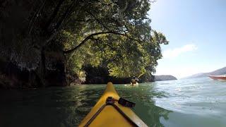 Marlborough Sounds Sea Kayak Adventures